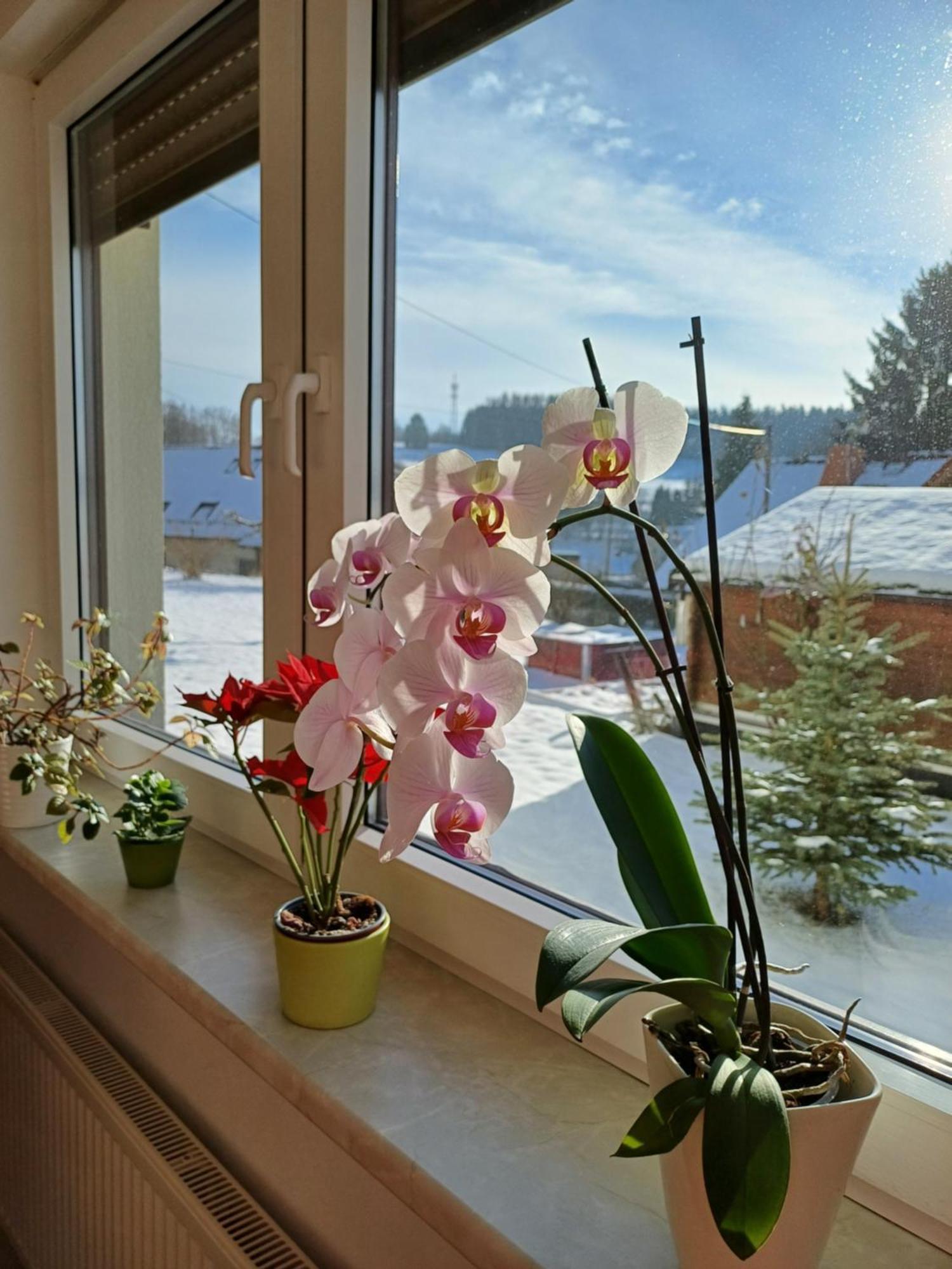 Thueringer Zimmer 苏尔 外观 照片