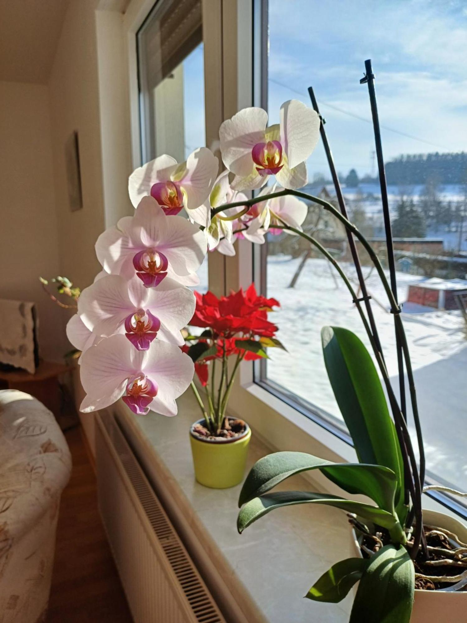 Thueringer Zimmer 苏尔 外观 照片